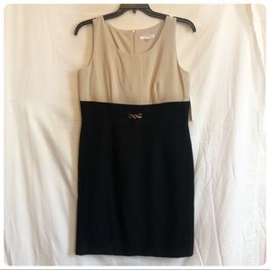 ‼️REDUCED PRICE‼️ Two-tone sheath dress